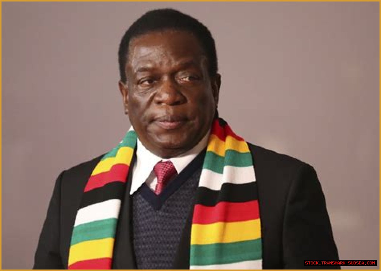 Emmerson Mnangagwa Junior: A Rising Star In Zimbabwean Politics