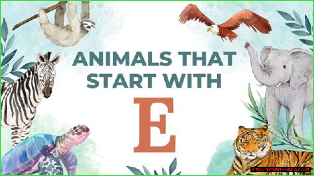 Exploring The Enigmatic World Of Animals Starting With E