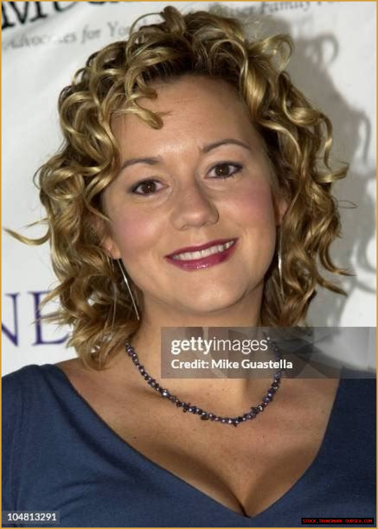 Exploring The Life And Career Of Megyn Price