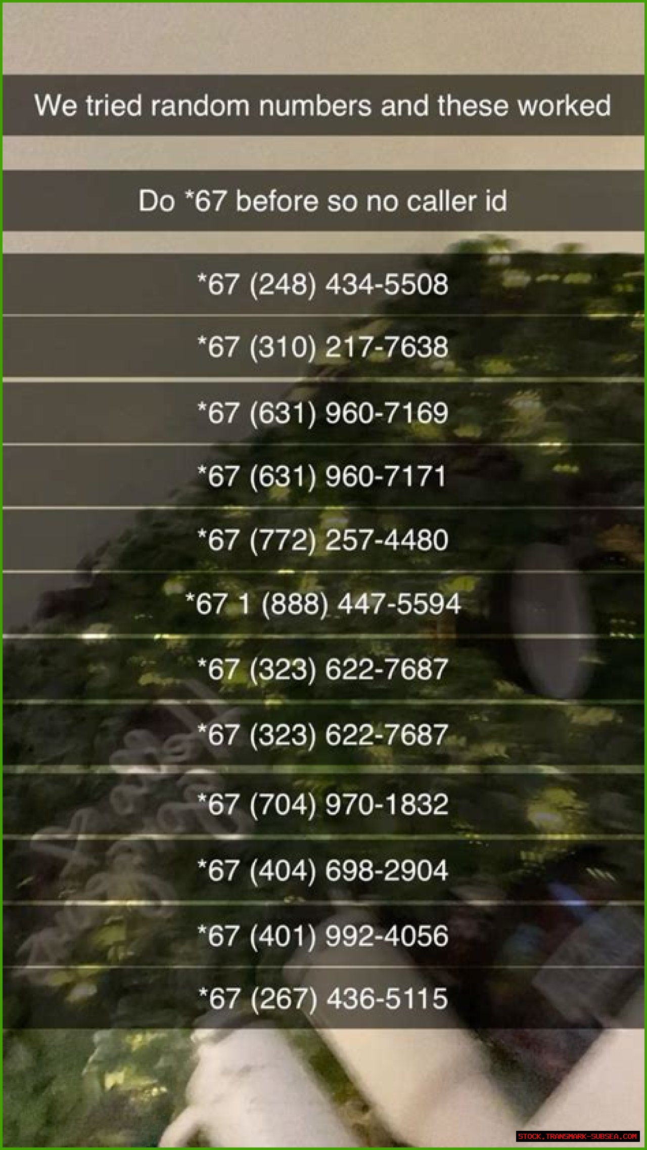 Prank Call Numbers: The Ultimate Guide To Fun And Laughter