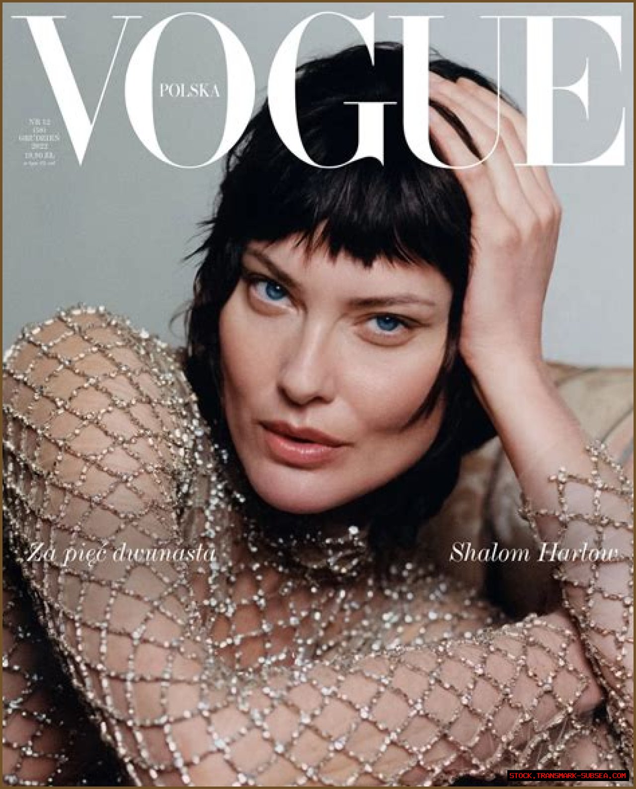 Shalom Harlow: A Journey Through Fashion And Fame