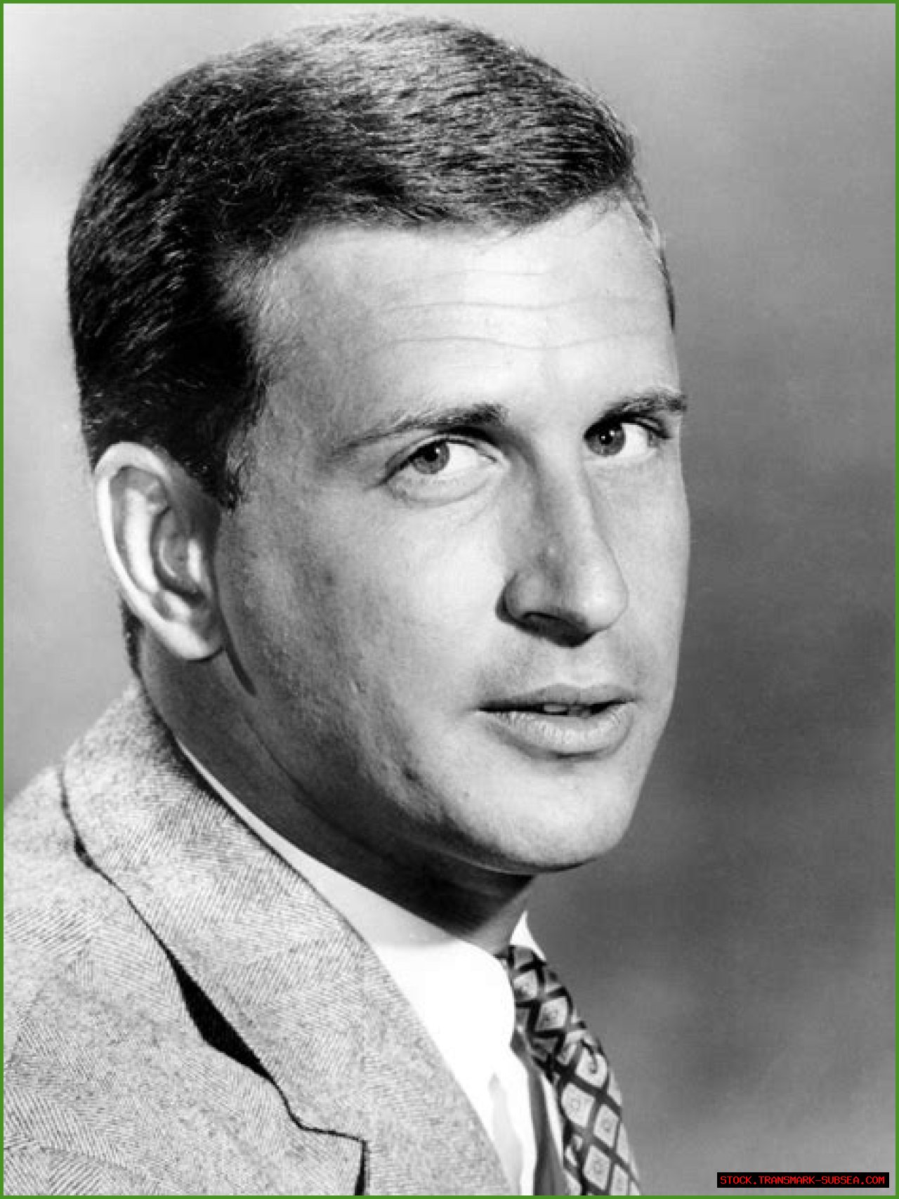 Ted Bessell: The Charismatic Actor Who Captivated Audiences