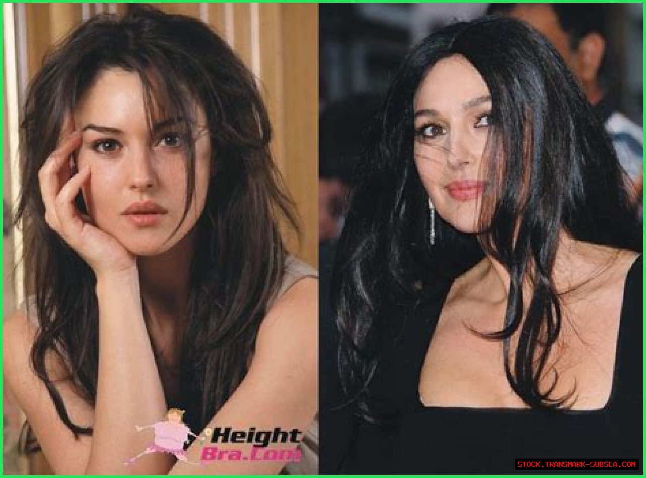 Unlocking The Secrets Of Monica Bellucci's Height: Discoveries And Insights