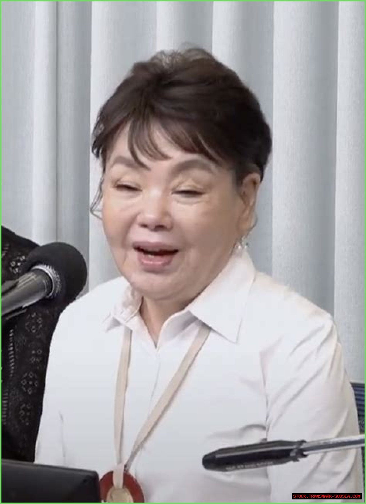 Unveiling The Mystery: Is Kim Soo Mi Married?